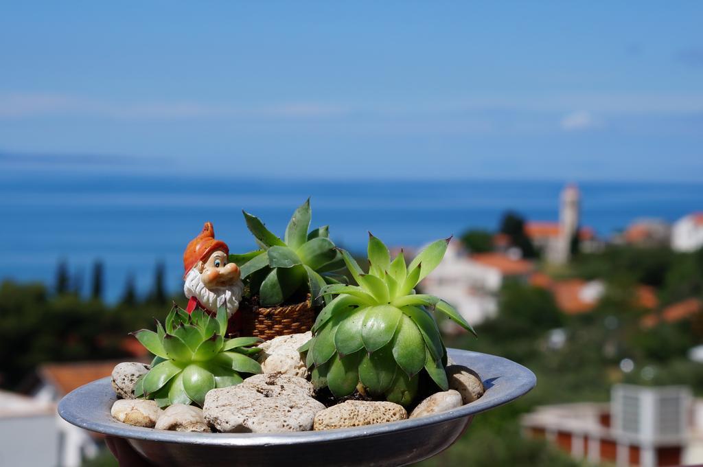 Apartments Mateljak غراداك المظهر الخارجي الصورة